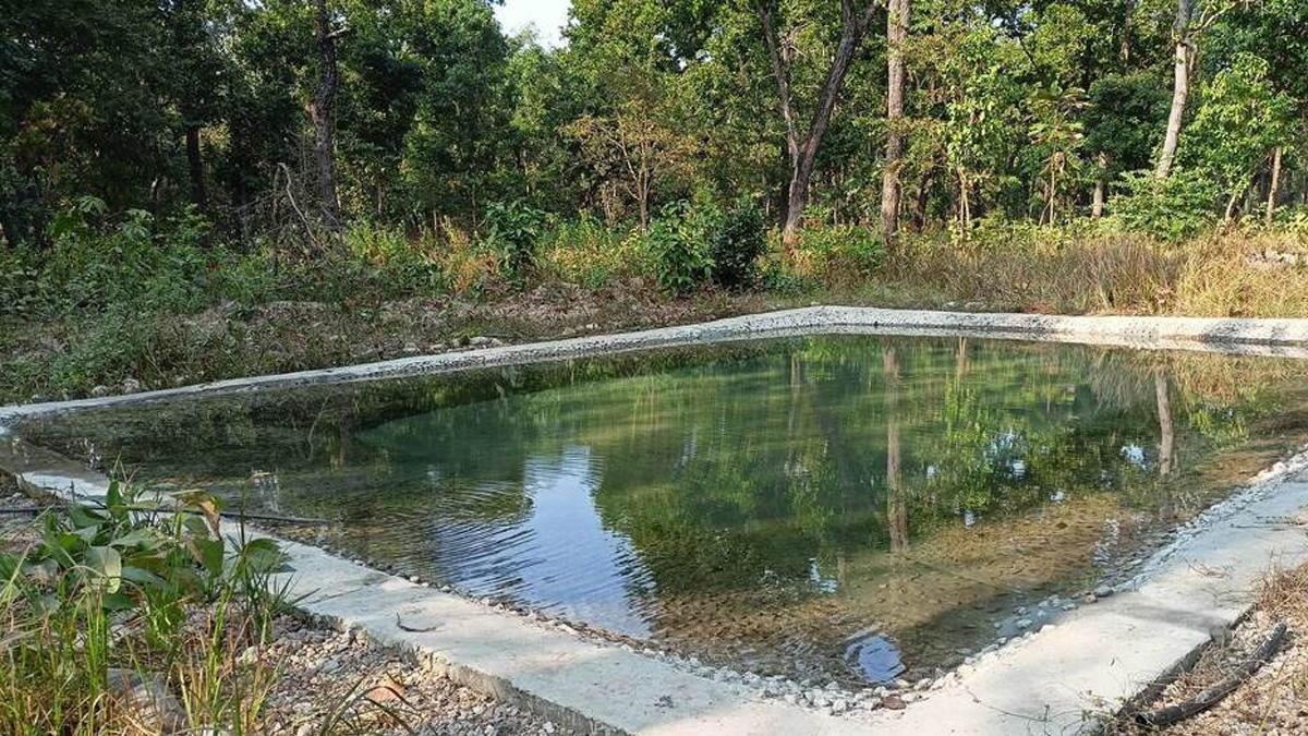 पर्सा राष्ट्रिय निकुञ्जभित्र पोखरी निर्माण